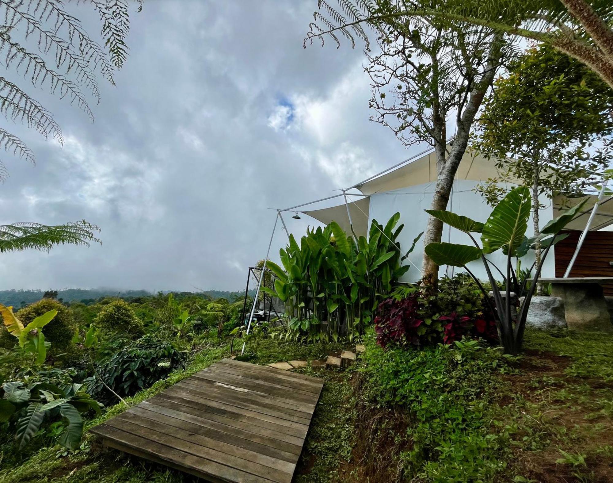 Harsa Eco Luxury Camp Luxe tent *